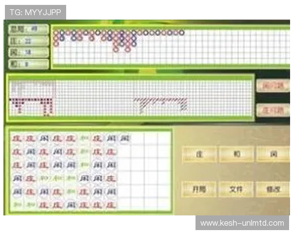 专业百家乐路单记录器帮助玩家科学分析投注趋势的必备工具